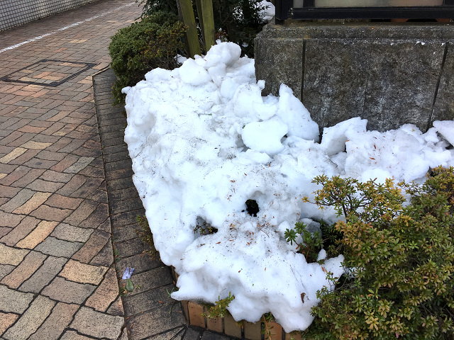 1週間経ってもまっだ雪が残る東京街中３＠2018年1月31日 by占いとか魔術とか所蔵画像