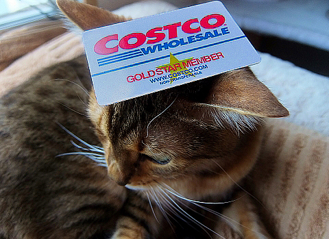 コストコで買い物 ブログ レポ 比較 COSTCO 円 商品 costco メンバー