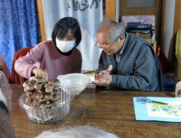 椎茸収穫１