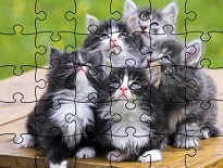 動物のジグソーパズルゲーム【Jigsaw Puzzle Funny Animals】