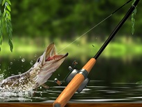 池で魚釣りゲーム【モーニングキャッチ】