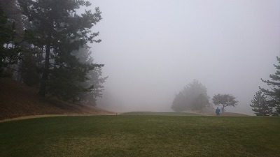 3003霧のゴルフ