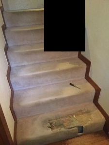 既存の階段カーペット