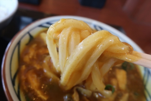 丸亀製麺㊿ (5)_R