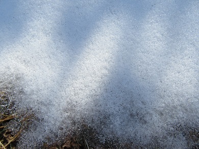 庭先に残る雪