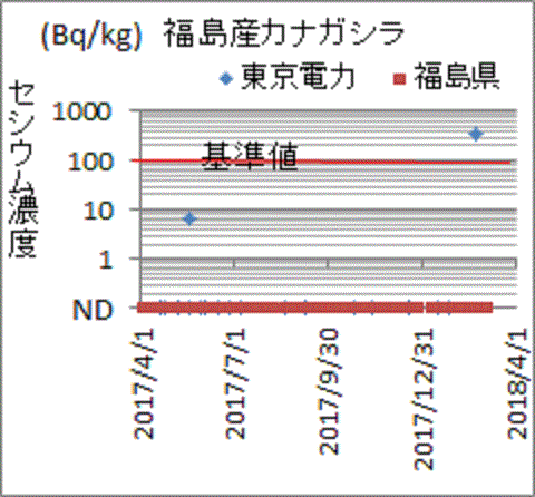 福島県の検査では全くに見つからないのに東京電力が検査すると基準超となる福島産カナガシラ