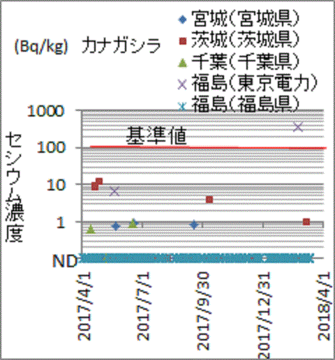 他では見つかっても福島県検査の福島産カナガシラはでは見つからないセシウム