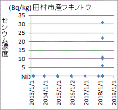 上昇する福島県田村市産フキノトウのセシウム含有量