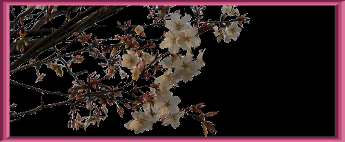 夜桜のウエルカム素材