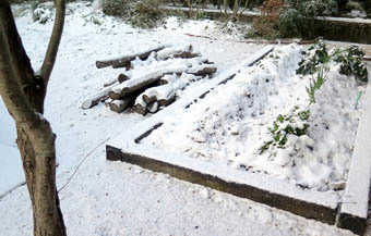 庭の雪