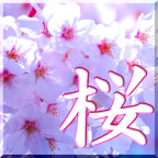 桜　神経衰弱　～Cherry Blossoms Concentration～