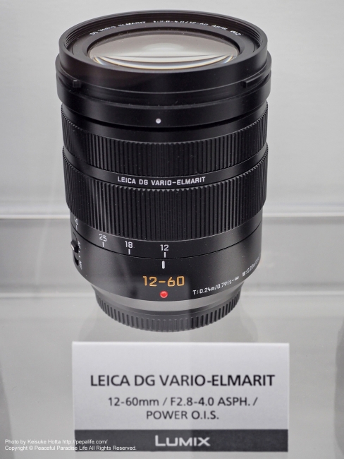LEICA DG VARIO-ELMARIT 12-60mm / F2.8-4.0 ASPH. / POWER O.I.S.
