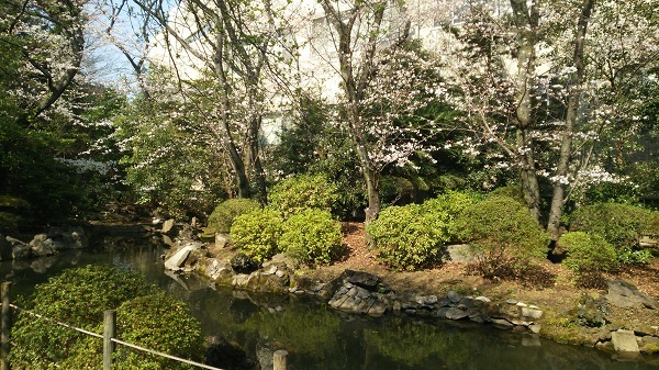 根津神社の池