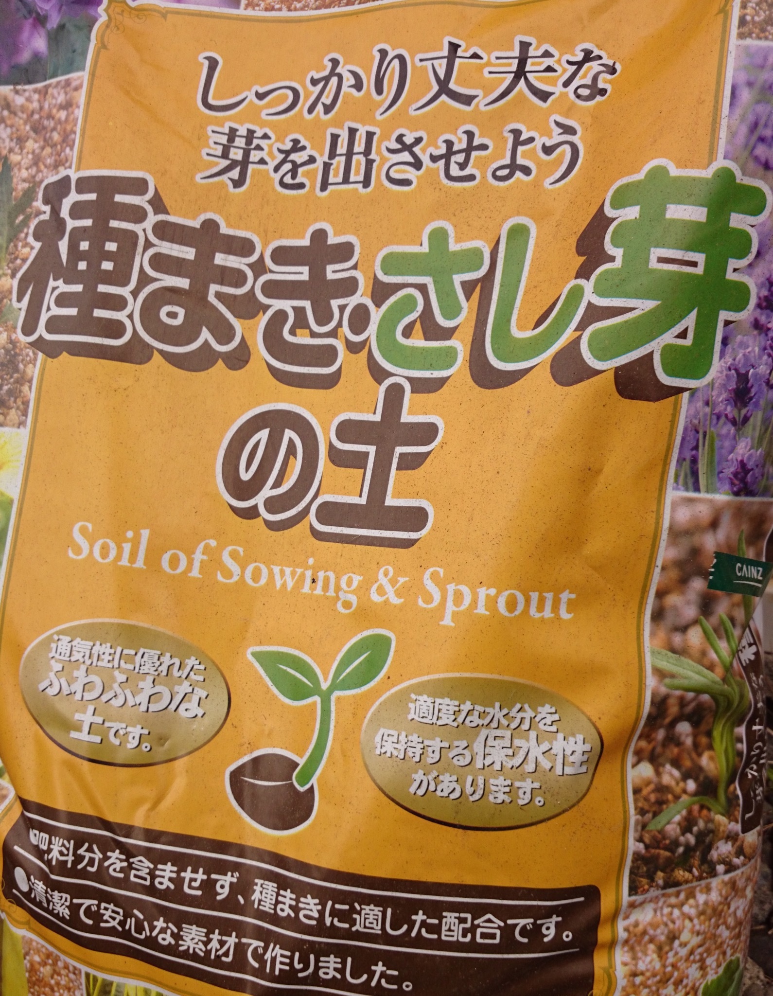 シャワー (アスパラガスの種) 1dl缶 野菜の種