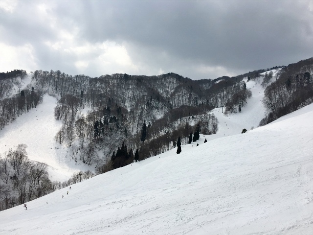 奥神鍋スキー場　山頂を見る