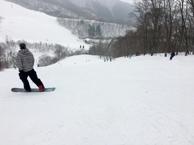 奥神鍋スキー場　四季の森ゲレンデ