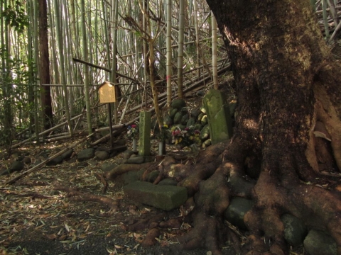 北条新三郎の墓